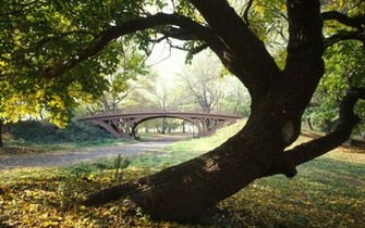 Theme Bin Archive Central Park New York City HD Wallpaper
