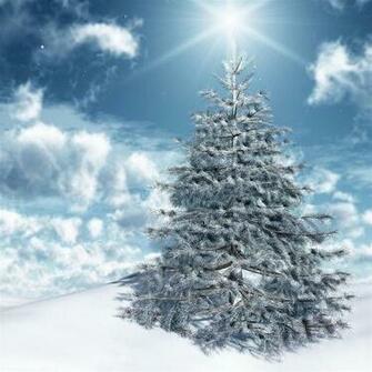 iPad Air Christmas Wallpaper HD