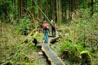 Image Search Sdot Trail To The Trees