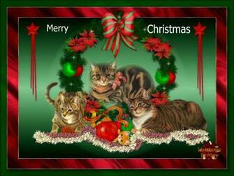 Merry Christmas Lily Lilyz Photo