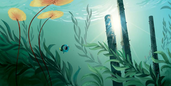Wallpaper Image Picpile Cute Baby Dory From Finding