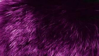 Purple Fur Wallpaper