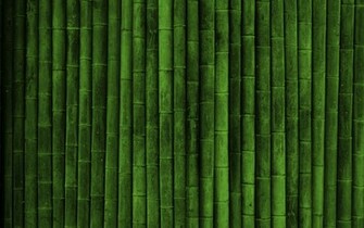 Green Bamboo Texture HD Wallpaper