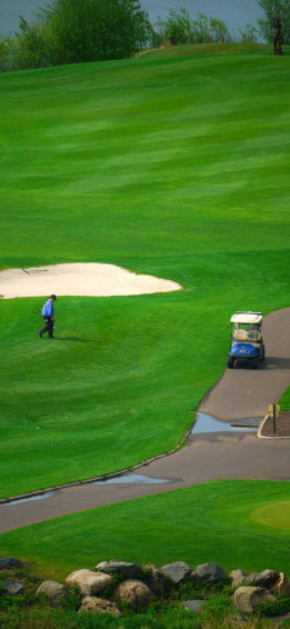 iPhone X Golf Course Background Wallpaper