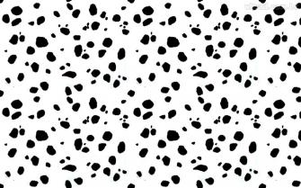 Dalmatian Background On