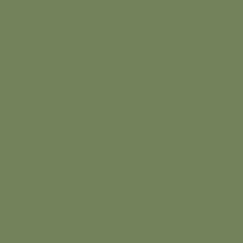 Little Greene Sage Green Paint