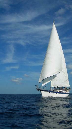 Sailboat Sailing Boat Wallpaper At Wallpaperbro