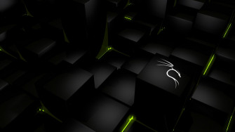 Kali Linux Wallpaper