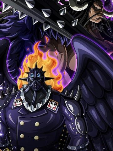 Kaido And King One Piece World