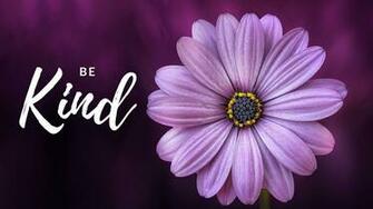 Be Kind Desktop Wallpaper Keeping It Real In Jersey