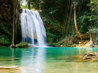 Tropical Waterfall Animated Wallpaper