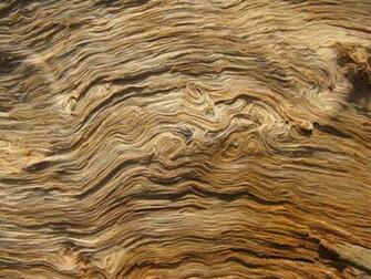 Wood Grain Image Crazy Gallery
