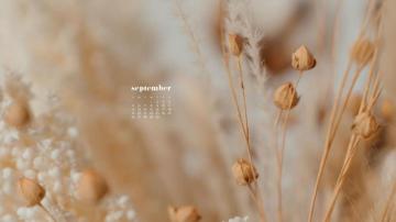 September Wallpaper Calendars For Desktop And Phones