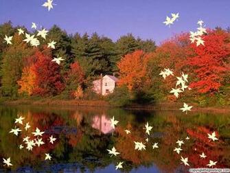 Seasons Wallpaper Season