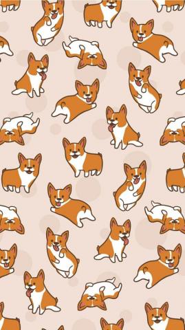 Viet Anh Pham On Corgi Wallpaper Dog