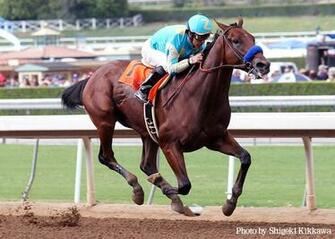 American Pharoah Daily Racing Form