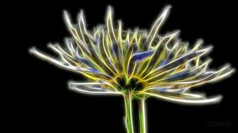 Flower Wallpaper Desktop X