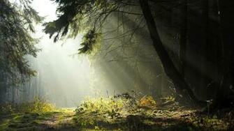 Spring And Summer Scenery Pics Photo