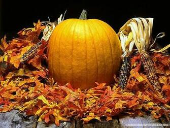 Scene Of Pumpkins Fall Pumpkin Display Big On