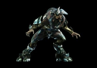 Halo Elite Wallpaper Eliteofficergameres Jpg