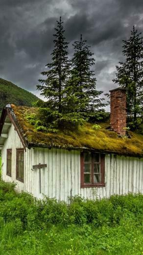Wallpaper Hemsedal Norway House Moss Trees Grass Mountain