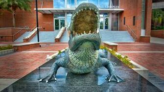 Go Gators Matthew Paulson Photography