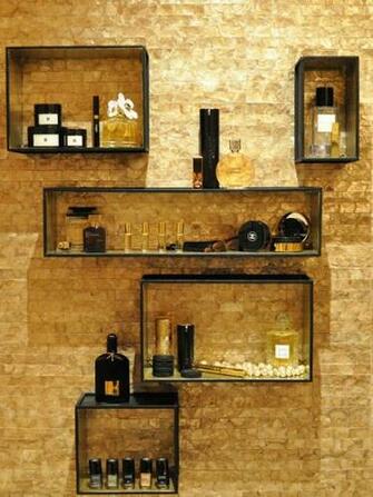 Mother Of Pearl Walls Home Design Ideas Pictures Remodel And Decor