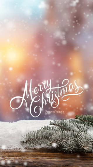Merry Christmas To You Phone Wallpaper And Mobile Background