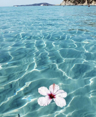 Tropical Aesthetic Beach Wallpaper