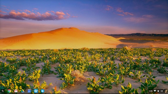 To Get Beautiful New Wallpaper On Your Chromebook Every Day Pcworld