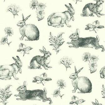 Inspired By Color Black And White Bunny Toile Wallpaper York Wallcove