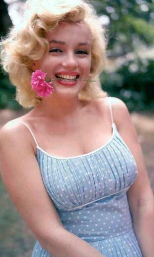 Marilyn Monroe Live Wallpaper Screenshot