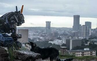 Wallpaper Chappie The Robot Named Chappy I Am Wonder