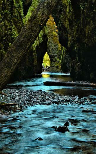 Mobile Wallpaper Sceneries Pieces