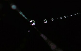 Tears Wallpaper
