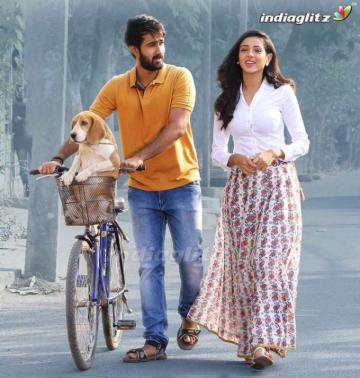 Paper Boy Photos Hollywood Movies Image Gallery