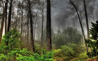And Wallpaper Also Find Here Top Quality For To