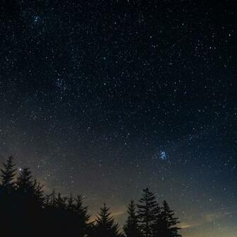 Wallpaper Starry Sky Night Trees