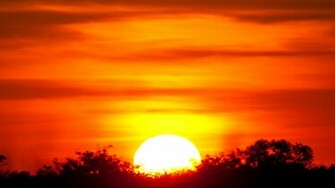 African Sunset Wallpaper