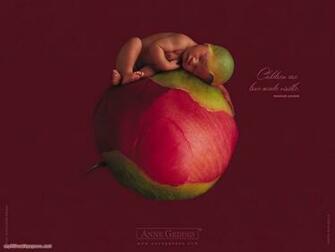 Anne Geddes Fall Wallpaper For Desktop Pictures To