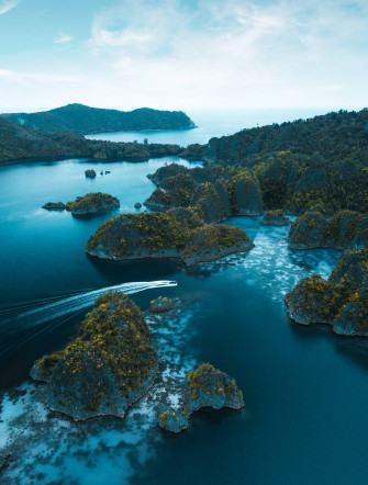 HD Nature Phone Wallpaper