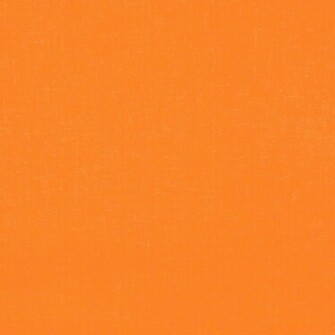 Go Back Image For Solid Neon Orange Background