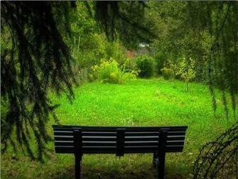 A Quiet Place Green