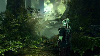 The Witcher Assassins Of Kings Wallpaper