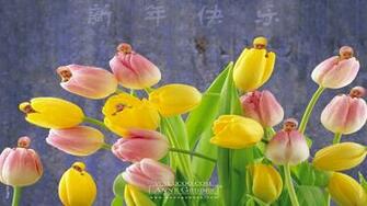 Related Pictures Wallpaper Anne Geddes Part