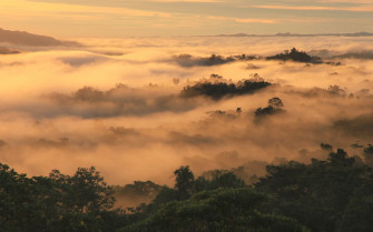 Papua New Guinea Wallpaper Image Photos Picture