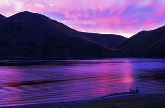 Pink And Purple Sunsets A Bright