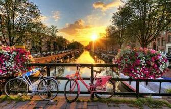 Wallpaper Rays Sunset Flowers Machine Bridge The City Home