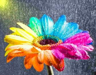 All 4u HD Wallpaper Beautiful Rainbow