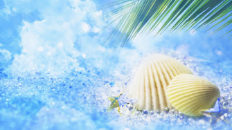 Summer Wallpaper